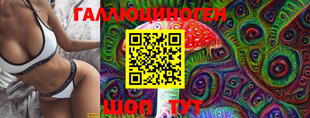 Псилоцибиновые грибы Psilocybine cubensis Владикавказ